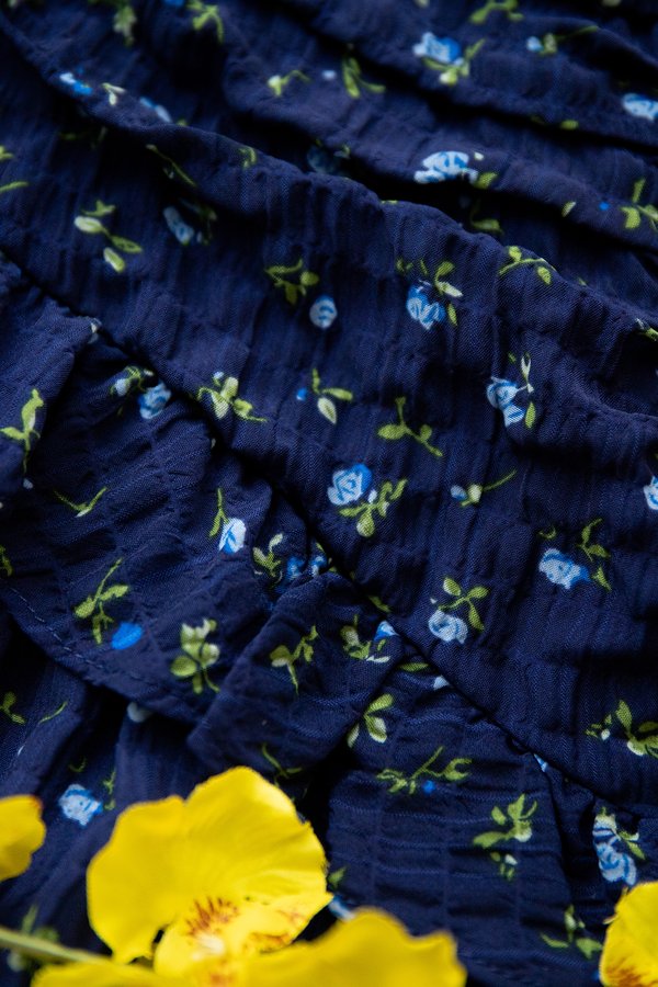 Aelin Dress In Blue Florals