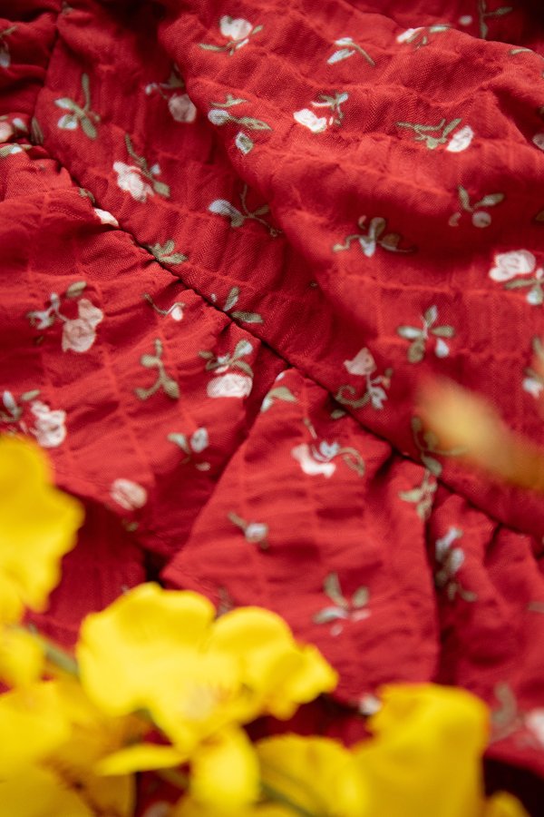 Aelin Dress In Red Florals