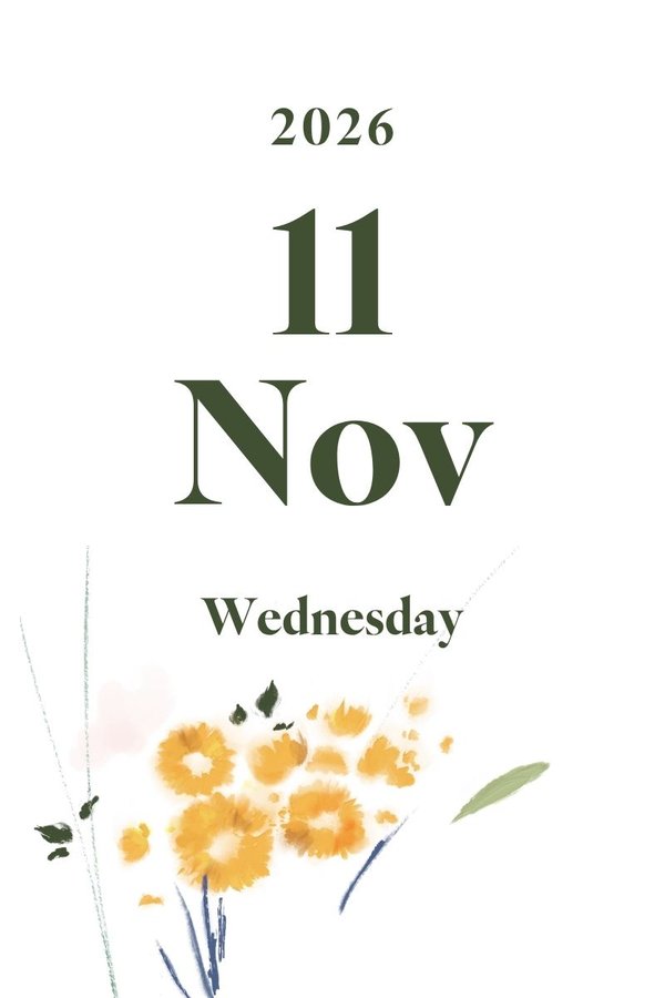 2026 November 11th (Wednesday)
