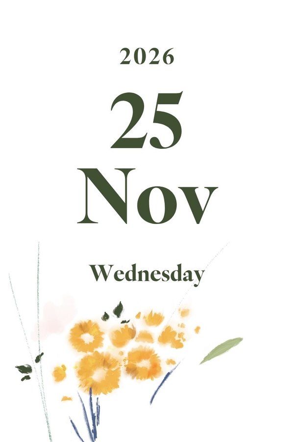 2026 November 25th (Wednesday)