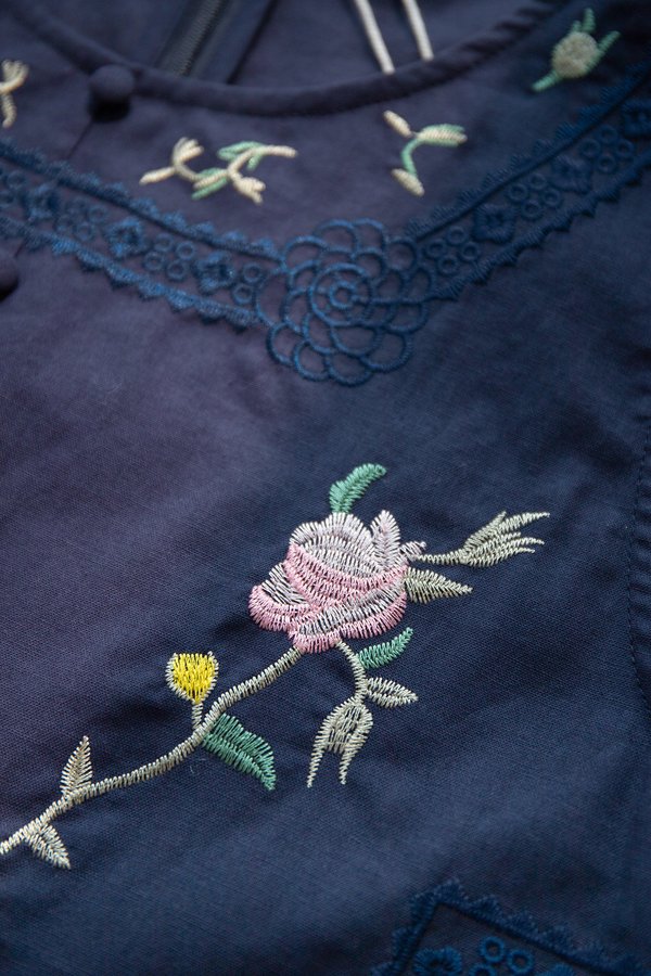 Aven Top In Embroidered Blue
