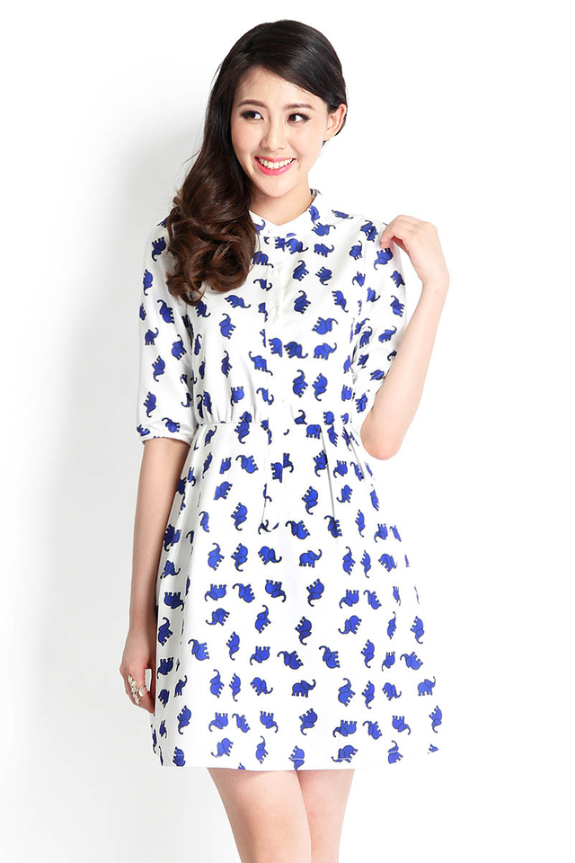 Trunk Show Dress In Prints