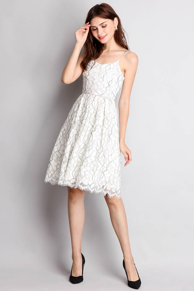 Lace Connoisseur Dress In White