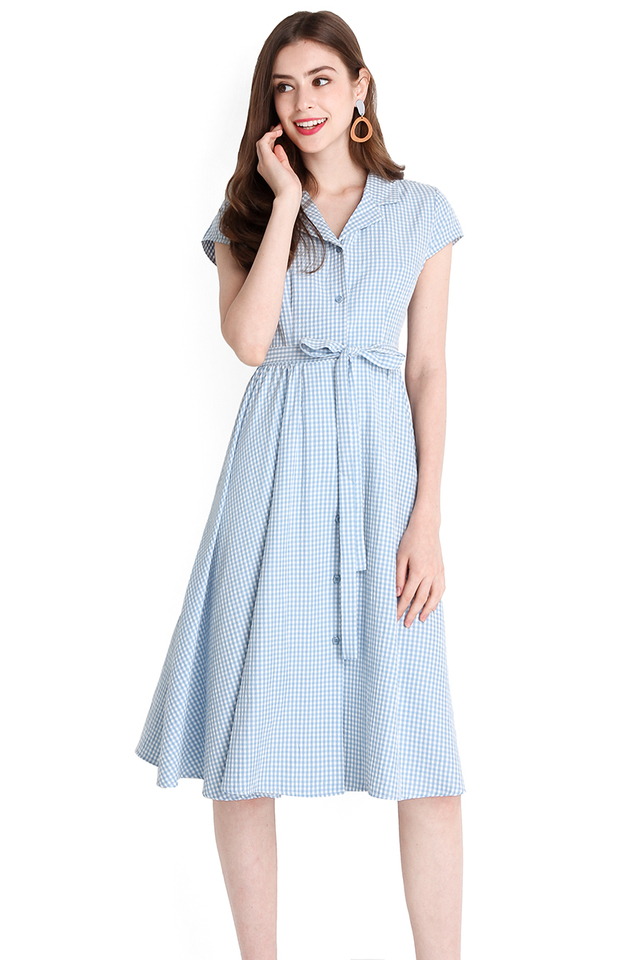Perfect Fairytale Dress In Blue Checks