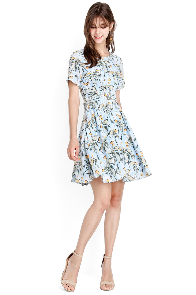 Daisies And Oud Dress In Sky Florals 