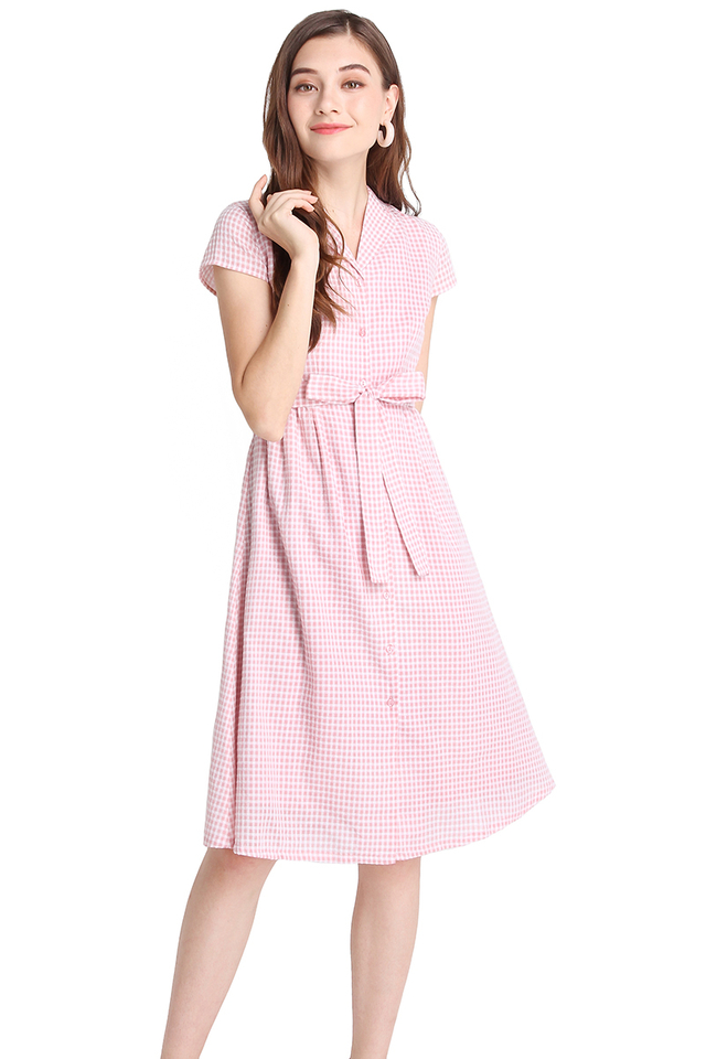 Perfect Fairytale Dress In Pink Checks